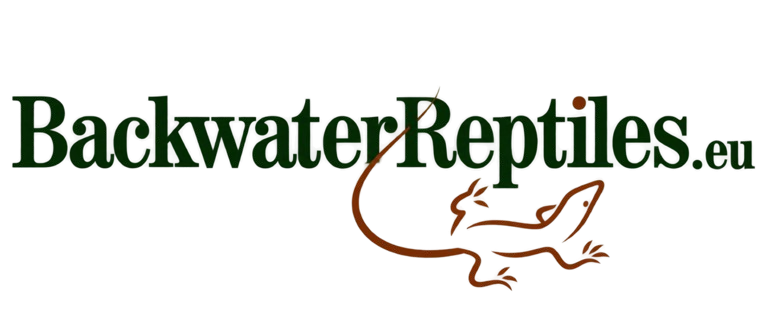 Backwater Reptiles