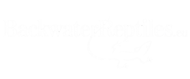 Backwater Reptiles