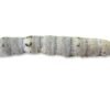 Silkworms for Sale